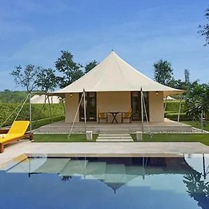 Luxury Tent Private Pool